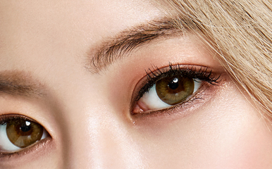 购买隐形眼镜与选择美瞳厂家的全面指南